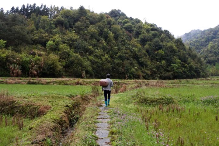 上饶爱道思乡村图书馆民宿