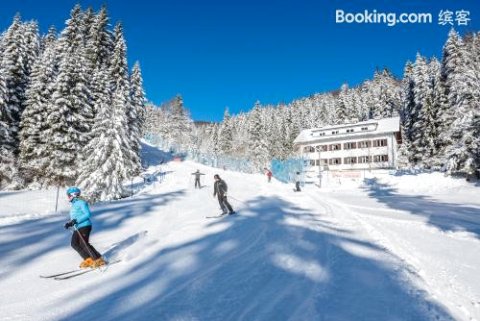 Apartments Rogla Jurgovo - Ski in Ski Out