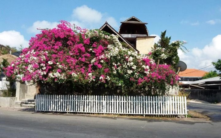 梦想度假屋别墅(The Dream Home Villas)