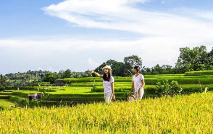 Kebun Kita Eco Lodge