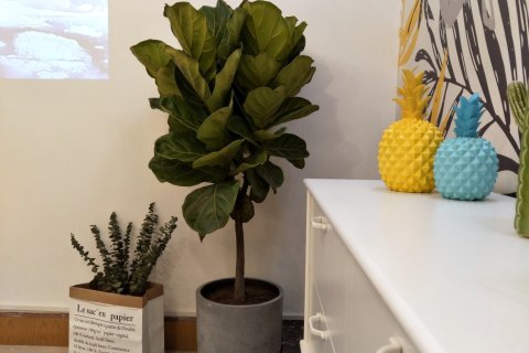 重庆市渝中区东和湾民宿