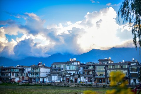 大理常青树客栈