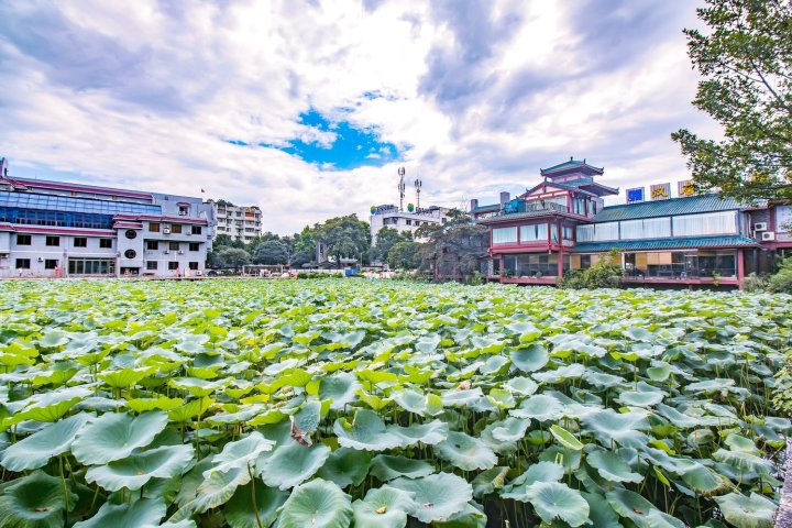 桂林天道之旅桂林店公寓(北彩道分店)