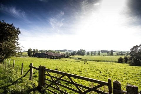 温薛西旅馆(Winchelsea Lodge)