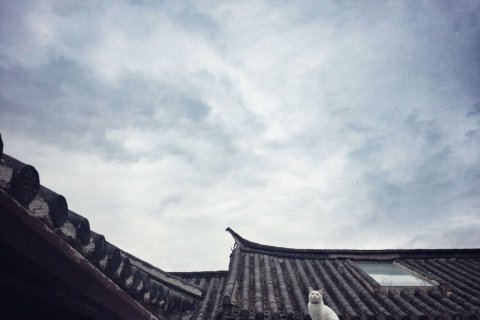 大理乌瓦客栈(喜洲古镇店)