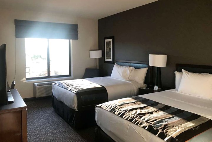 圣何塞温德姆盖特酒店(Wingate by Wyndham San Jose)