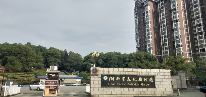 长沙红森林公寓(6号店)