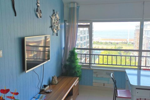 蓝宝湾别墅公寓(日照东小庄村分店)