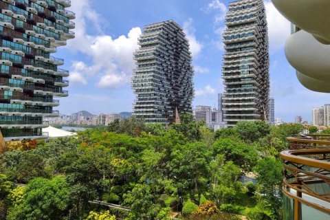 三亚大树公馆美丽度假公寓(美丽之冠店)101