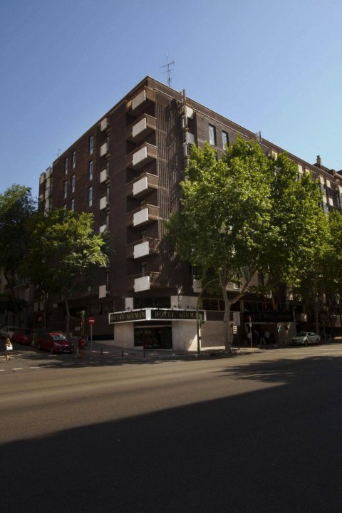 马德里阿古玛酒店(Hotel Agumar Madrid)
