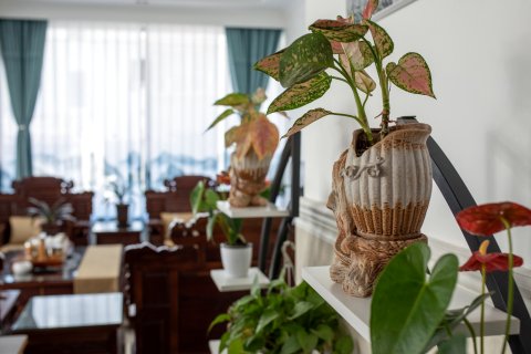 雁荡山雅乐居客栈