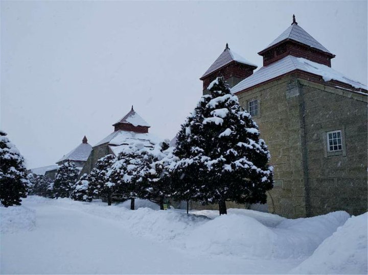 小樽雪屋别墅(Otaru Snow House)