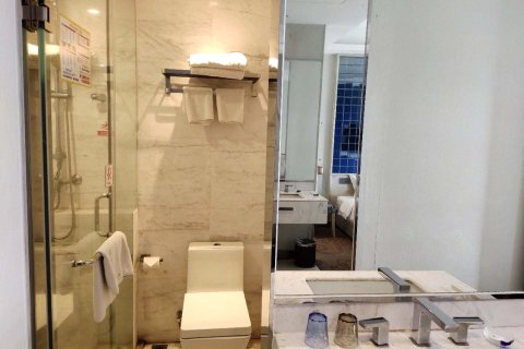 三亚大树公馆美丽度假公寓(美丽之冠店)101