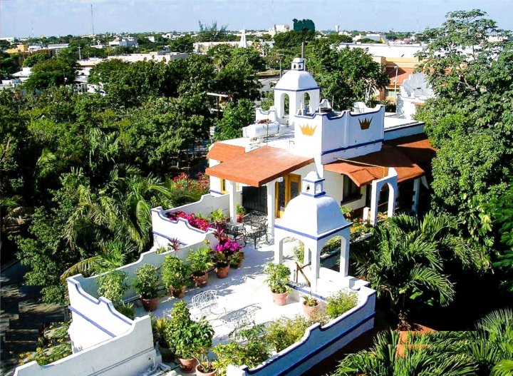 艾尔雷伊德尔加勒比经济型酒店(Eco-hotel El Rey del Caribe)