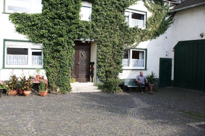 姆巴赫豪夫酒店(Mühlbachhof)