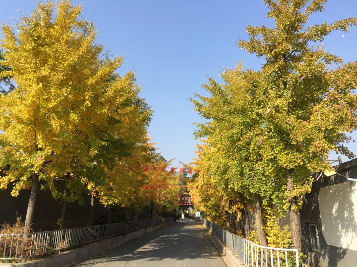 北京农家乐园民宿
