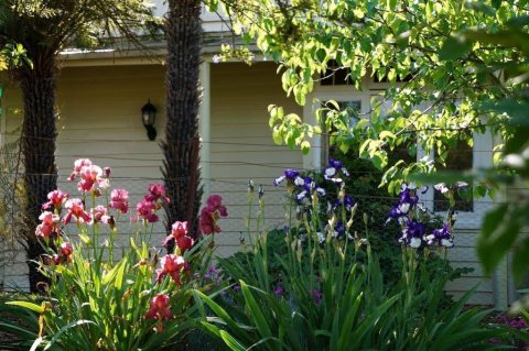 飞鹰观景民宿(Eagle's View Cottage - Yarra Valley)