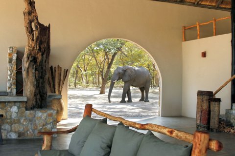 官库洞大象旅舍(Gwango Elephant Lodge)