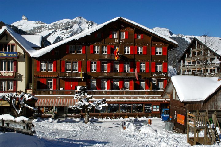 瑞士伯尔米藿夫宾馆(Swiss Lodge Hotel Bernerhof)