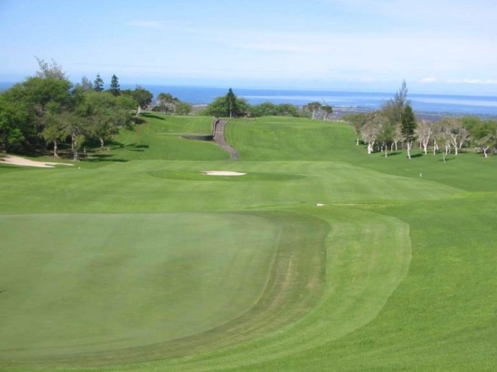 天堂阿罗哈威科洛亚别墅酒店(Waikoloa Villa the House of Heavenly Aloha)