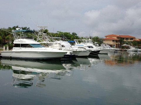 La Salamandra