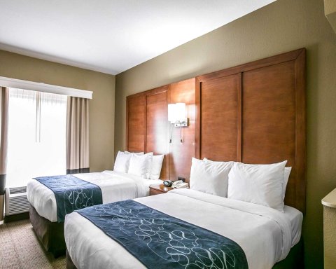 奥斯汀西北湖岸全套房舒适酒店(Comfort Suites Austin NW Lakeline)