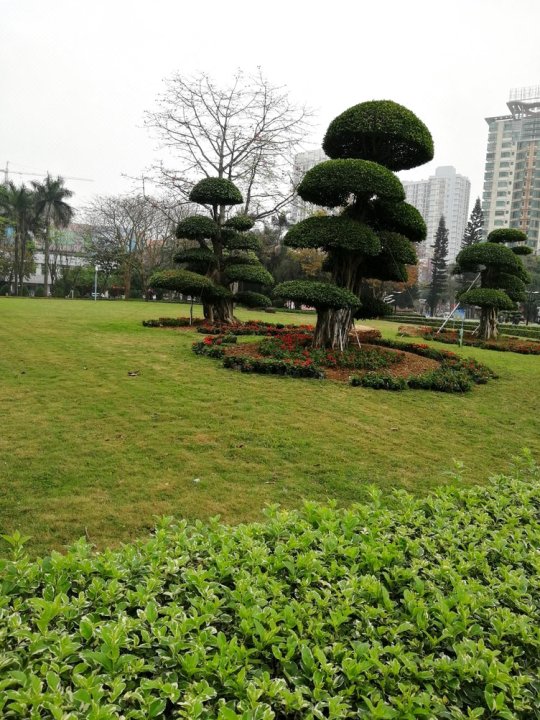 北海北部湾广场友谊家民宿(4号店)