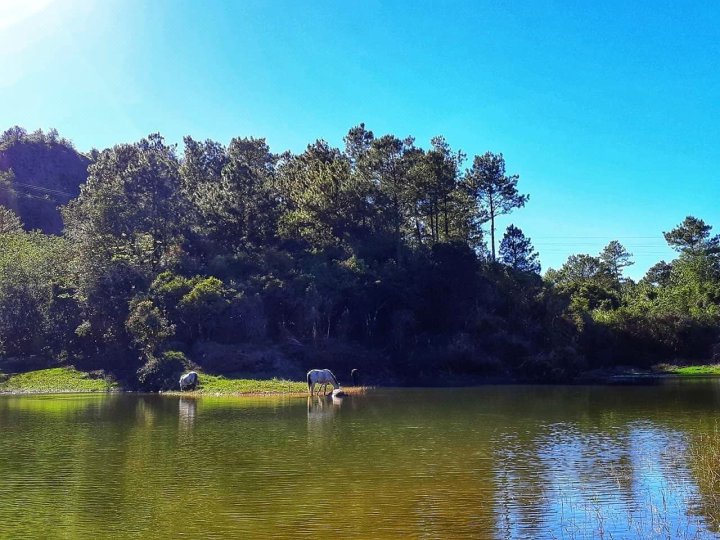 席图别墅 - 萨加达自然旅馆(See Too Ville - Nature Lodge Sagada)