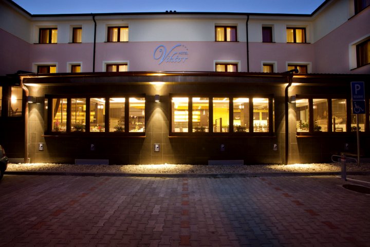 维克托酒店(Hotel Viktor)