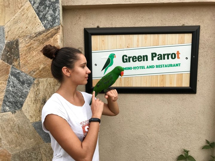 绿鹦鹉海滩度假村(Green Parrot Ayurvedic Resort)