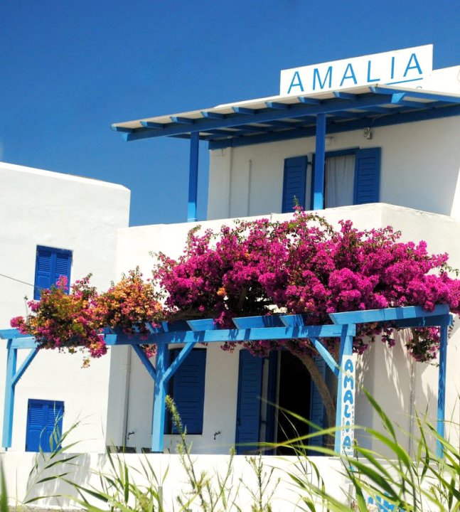 Amalia Studios