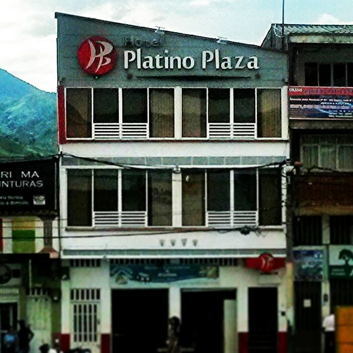 铂金广场酒店(Hotel Platino Plaza)