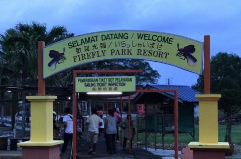 Firefly Park Resort