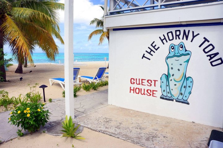 The Horny Toad 客栈(The Horny Toad Guest House)