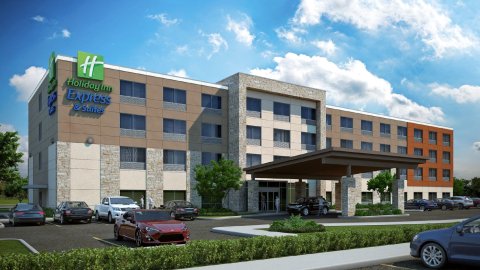 弗里斯科东部麦金尼智选假日套房酒店(Holiday Inn Express & Suites McKinney - Frisco East, an IHG Hotel)