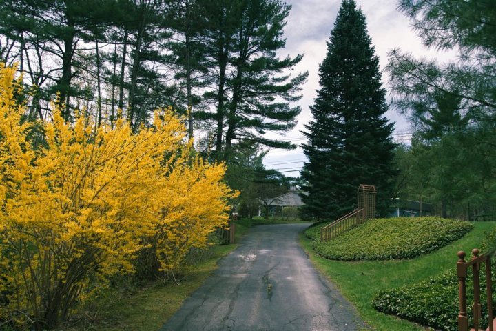 波克夏尔住宿酒店 - 乡村旅馆(Stay Berkshires - A Country Inn)