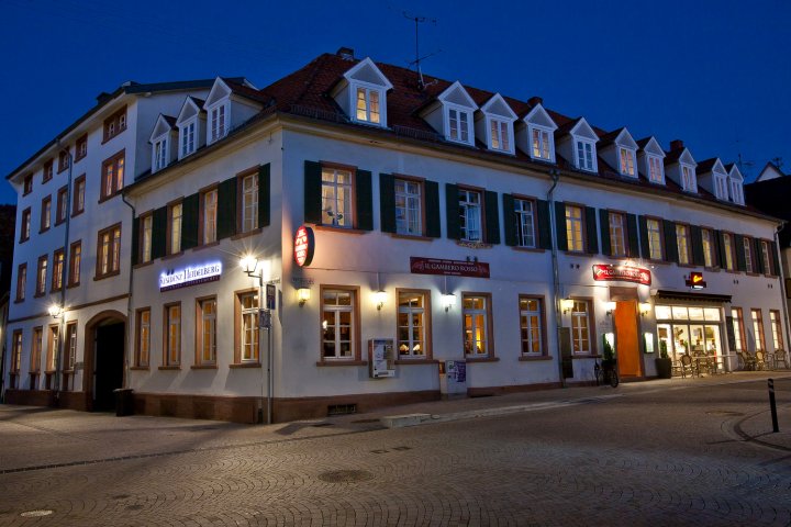 海德堡皇宫酒店(Residenz Heidelberg)