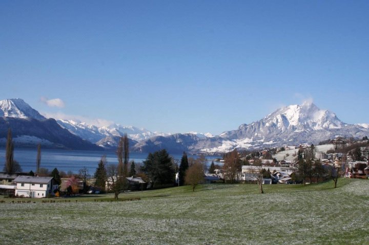 木屋旅馆 - 梅尔利沙亨瑞士木屋(Chalet-Hotel Lodge - Swiss-Chalet Merlischachen)