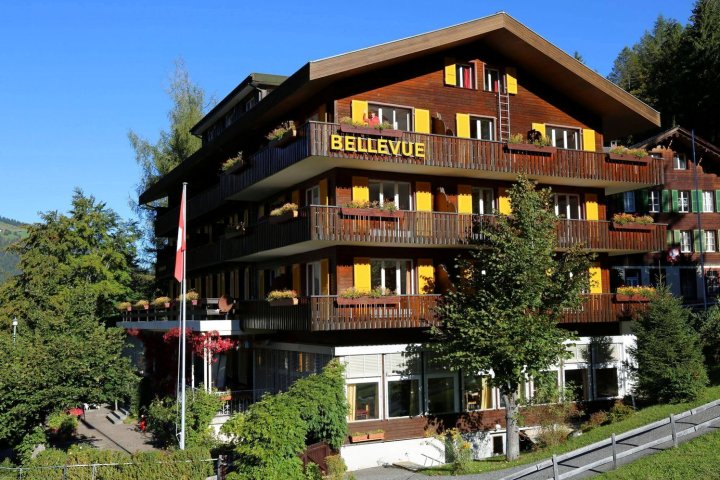 贝尔维尤米诺酒店(Hotel Bellevue Wengen - Best View in Town)