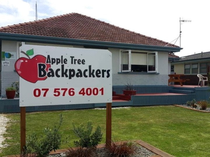 苹果树背包客青年旅舍(Apple Tree Backpackers)