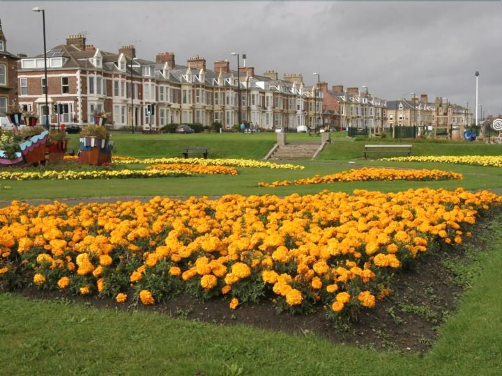 海滨公寓(Seafront Apartments)