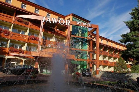 亚沃尔Spa酒店(Spa Hotel Jawor)