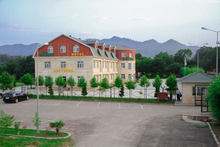 维丽希宫殿酒店(Vilesh Palace Hotel)