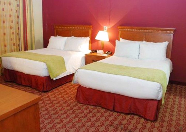 拉斯帕尔马斯套房酒店及公寓(Suites las Palmas, Hotel & Apartments.)
