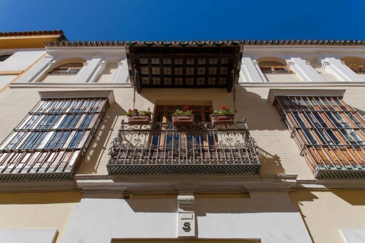 格利维斯VTV伯爵旅馆(La Casa del Conde de Gelves Apartments)