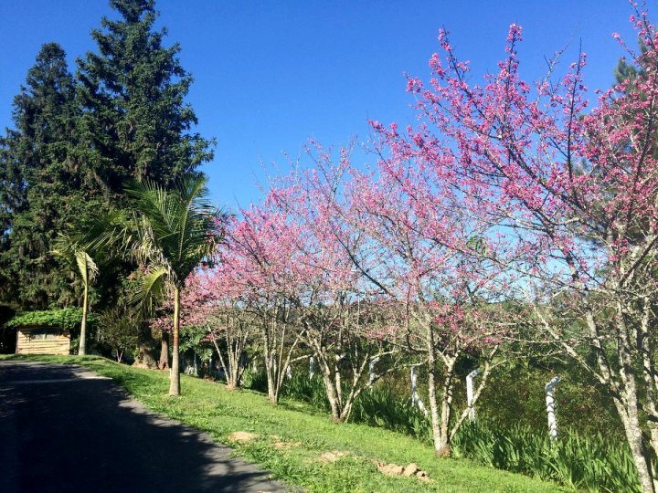 Villa Bela Vista Hotelaria Para Idosos