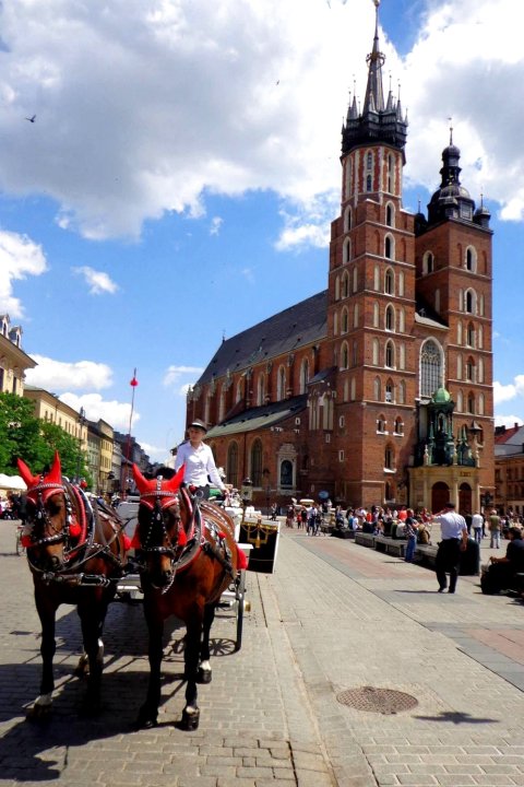 你的克拉特夫经济酒店(Krakow for You Budget)