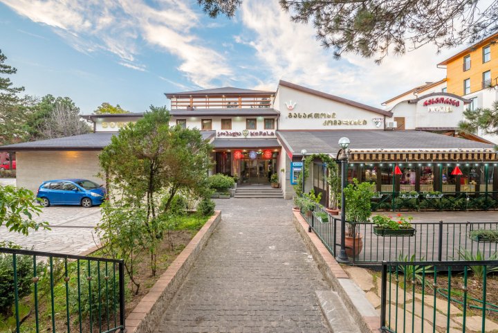 科帕拉兹克内堤酒店(Kopala Tskneti Hotel)