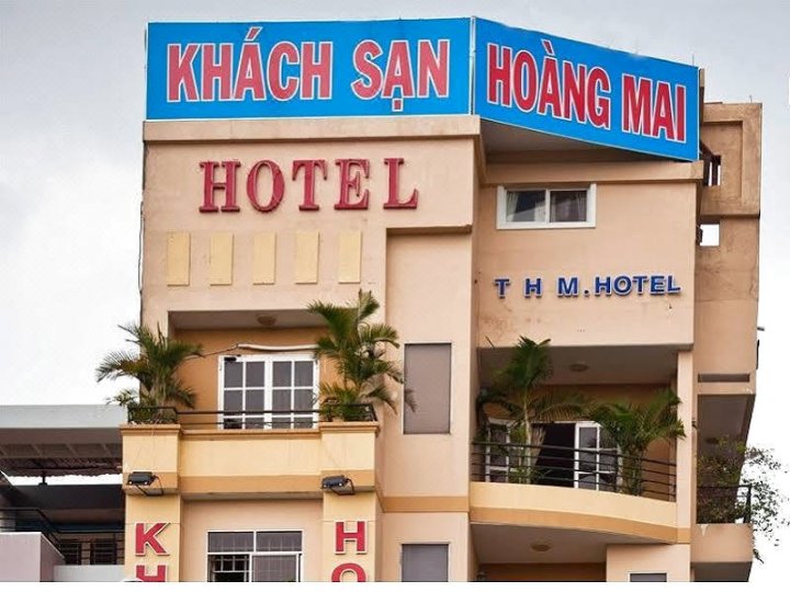 谭晃麦大酒店(Tan Hoang Mai Hotel)