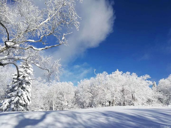牡丹江雪乡二浪河悦客民宿